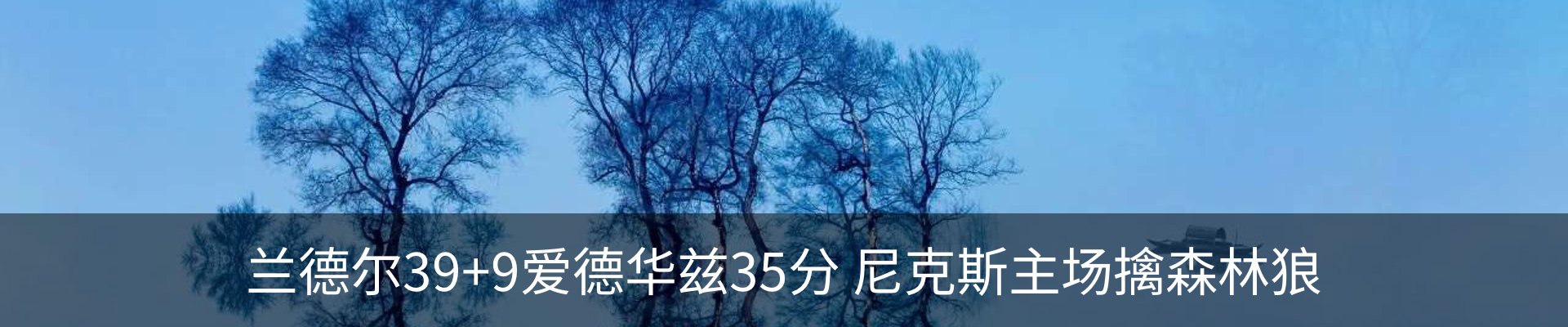 新闻动态